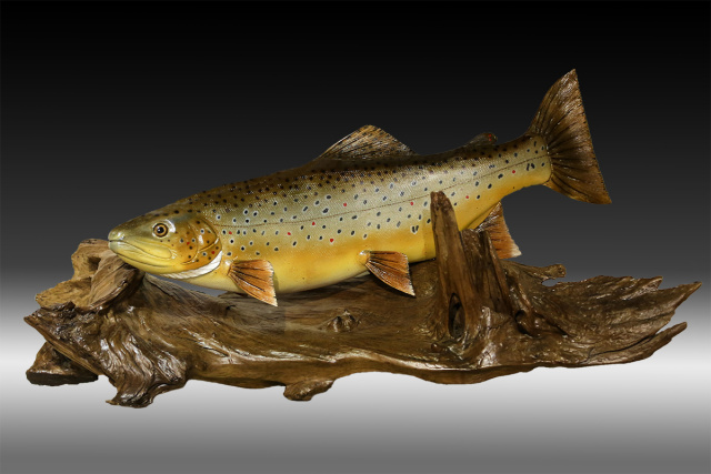 18" Brown Trout